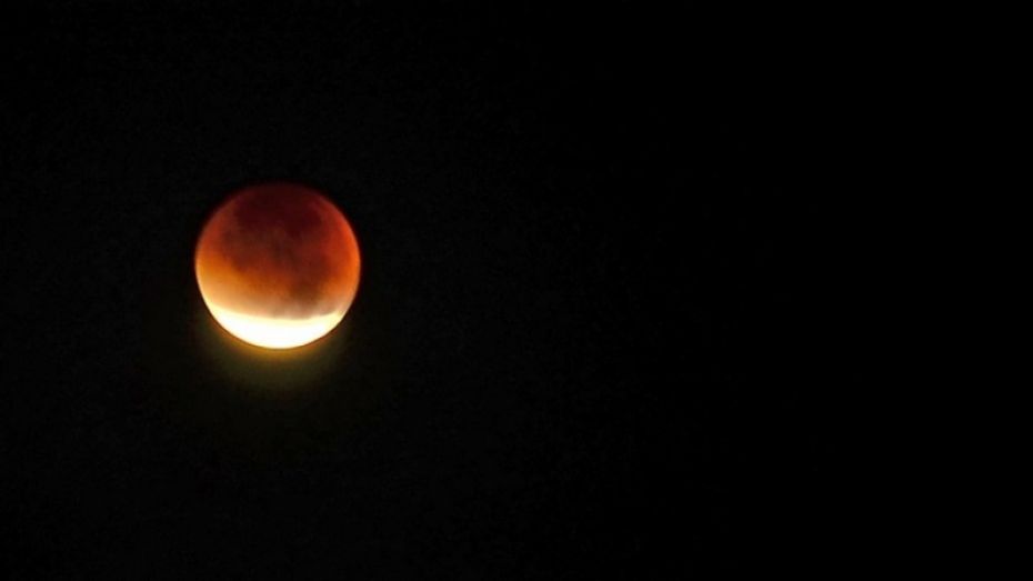Воронежцы увидят «красную» Луну вечером 7 августа