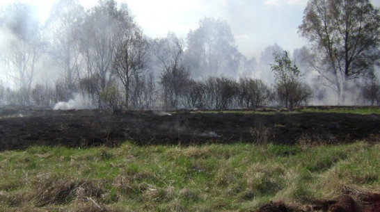 В Петропавловском районе дачник чуть не сжег хутор и сосновый лес