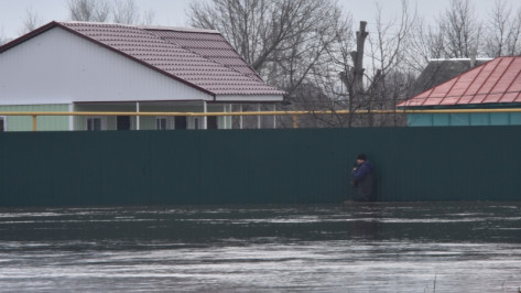 В Воронежской области затопило 19 мостов во время паводка-2018