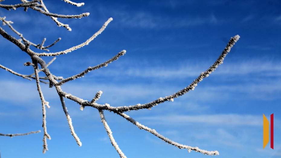 В Воронежской области похолодает до -4 градусов