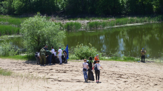 Экологический квест проведут в окрестностях павловского озера Тахтарка