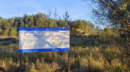 Застройщик оплатил ущерб от дамбы на Усманке под Воронежем