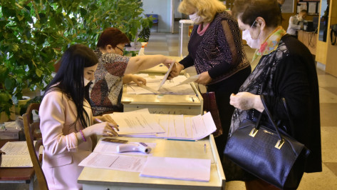 В Общественной палате РФ высоко оценили явку на выборы в Воронежской области