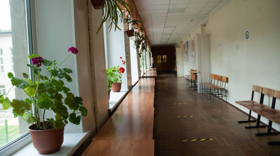 В Воронеже сократилось число закрытых классов на карантин по гриппу и ОРВИ