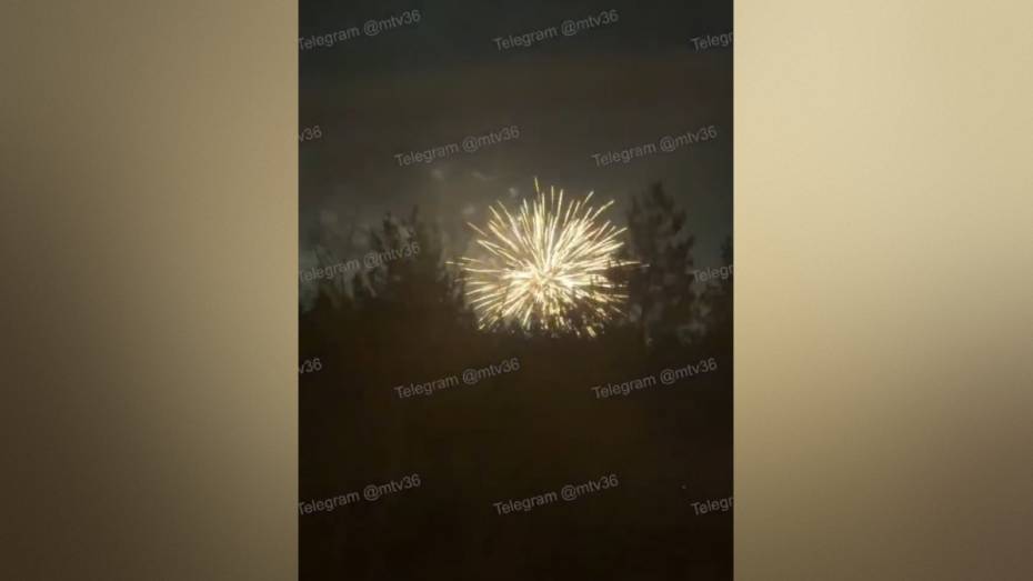 Воронежцы пожаловались на запуск салюта вечером 14 января