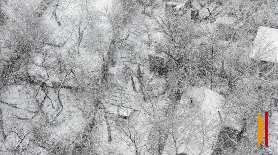 Воронежцев предупредили о сильном ветре и метели 26 декабря