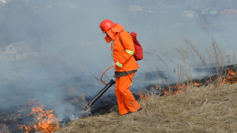 В Верхнемамонском районе количество ландшафтных возгораний  выросло в 3,5 раза