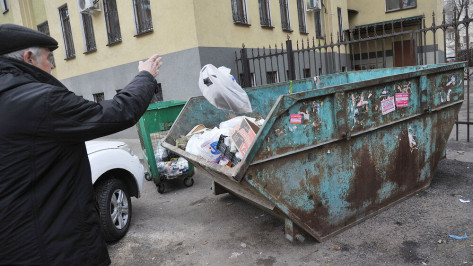 За наполняемостью мусорных контейнеров в Воронеже проследят по камерам