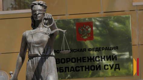 Воронежец отстоял в суде право на пониженный утильсбор на ввоз электромобиля