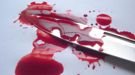 В Эртильском районе пьяная женщина убила мужчину, угрожавшего ножом ее гражданскому мужу