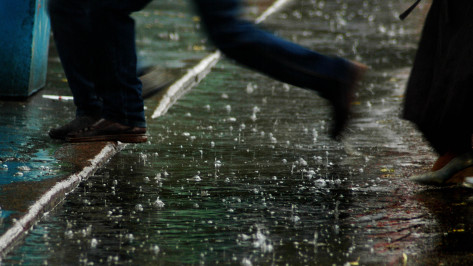 Синоптики спрогнозировали дожди в начале недели в Воронеже