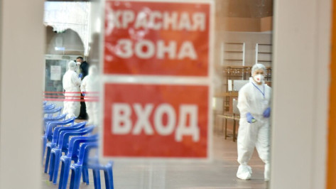 Коронавирус диагностировали у 521 жителя Воронежской области за сутки