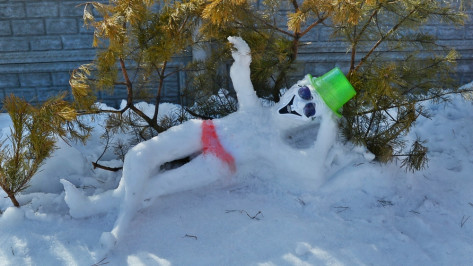 В семилукском селе провели конкурс снеговиков и необычных поделок из снега