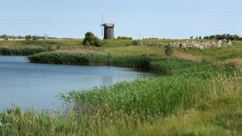 В Воронежской области стартовал конкурс на премию правительства за достижения в экологии