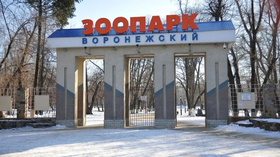 Воронежский зоопарк перейдет на зимний режим работы