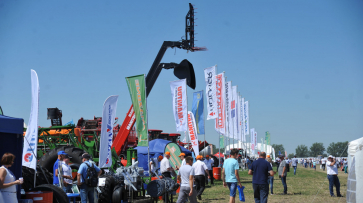 «День Воронежского поля» собрал более 180 сельскохозяйственных компаний