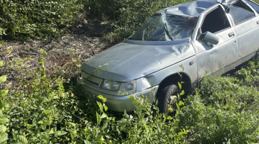 В Воронежской области водитель ВАЗ сбил косулю и попал в больницу