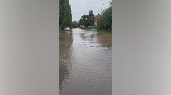 Потоп в районе улицы Димитрова в Воронеже сняли на видео
