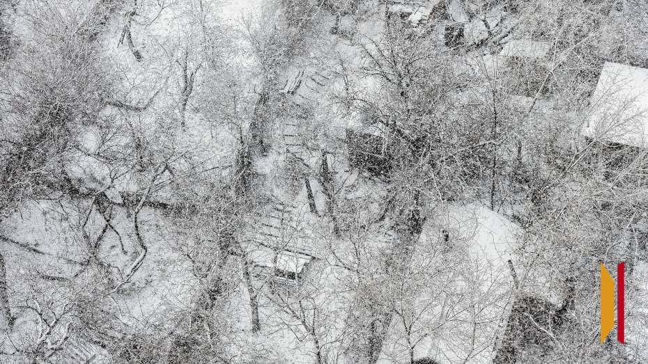 Воронежцев предупредили о сильном ветре и метели 26 и 27 декабря