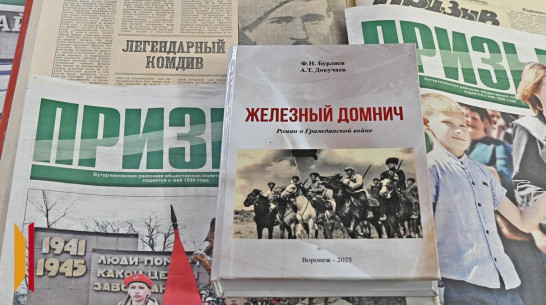 Бутурлиновский краевед издал книгу о герое Гражданской войны Иване Домниче