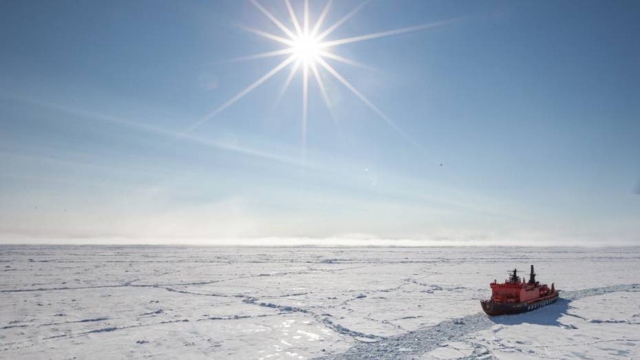 В экспедицию на Северный полюс отправятся 4 воронежские школьницы