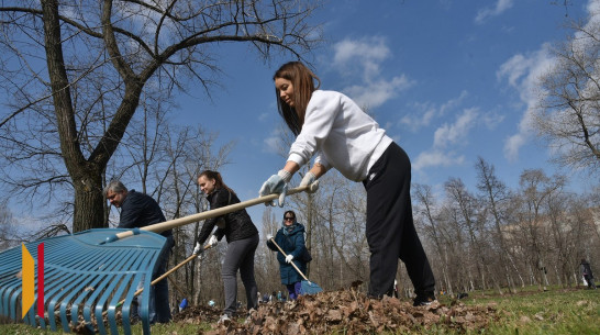 В подгоренской слободе Сагуны проведут субботник на Аллее Памяти Кирилла Полякова