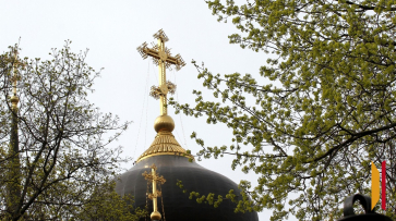 Итоги недели. Что важного произошло в Воронежской области с 14 по 20 апреля