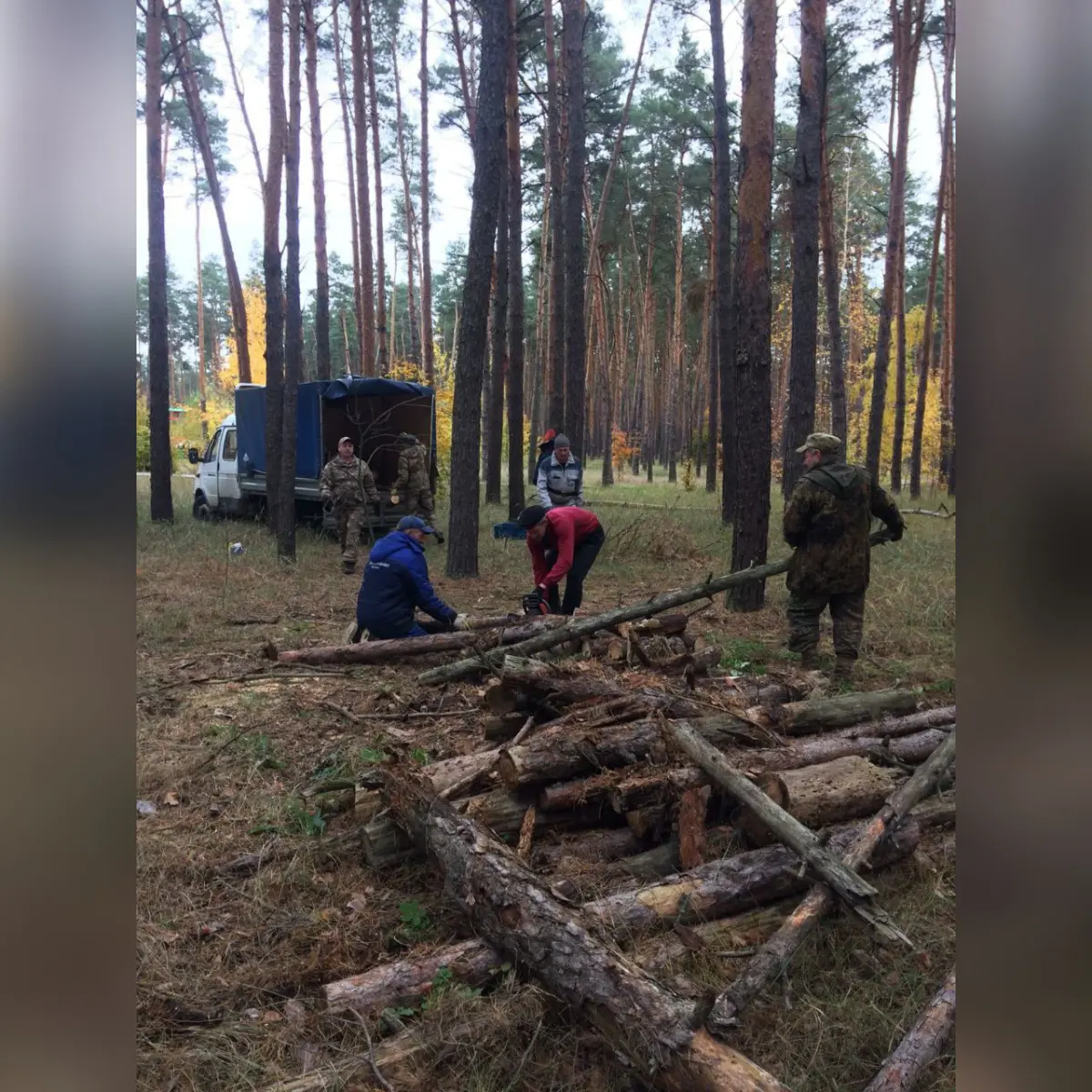 Во время субботника с территории Червленого Яра в Воронеже вывезли 4 тонны  валежника