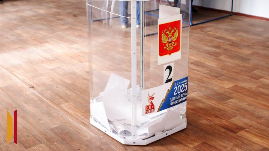 Явка по Воронежской области в первый день голосования превысила 25 процентов