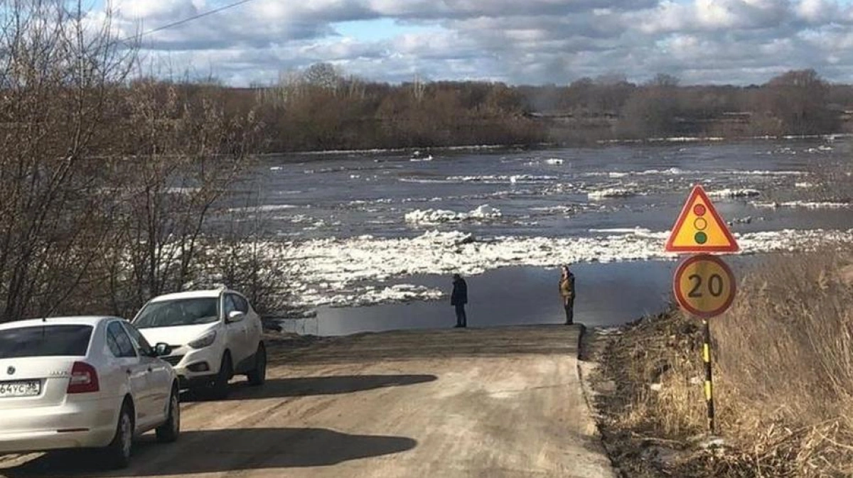 Мост через дон воронеж шилово. Дон разлив Воронеж. Понтонный мост Новоживотинное. Понтонный мост через Дон Новоживотинное. Понтонный мост Воронеж.