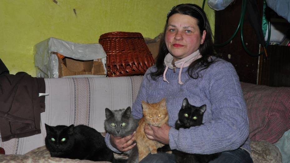 Павловчане подарили местной кошатнице 30 пакетов корма для ее питомцев