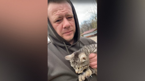 Спасательная операция: в городском парке Лисок Воронежской области с верхушки дерева сняли кота Тишку