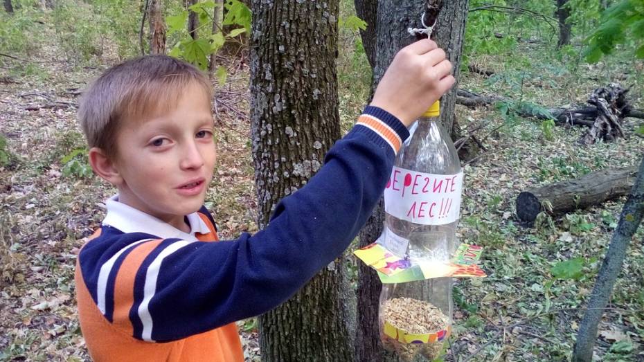 Россошанские школьники развесили в лесу кормушки для зверей и птиц