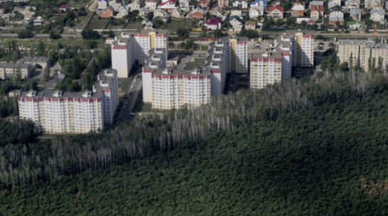 Жители Воронежской области проголосовали против изменения статуса Новой Усмани и Отрадного