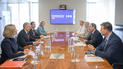 Врио губернатора Воронежской области Сергей Трухачев встретился с представителями Общественной палаты РФ
