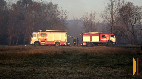 Оранжевый уровень погодной опасности продлили в Воронежской области из-за риска пожаров