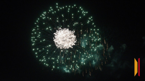Подмосковная фирма запустит в Воронеже салют на День города