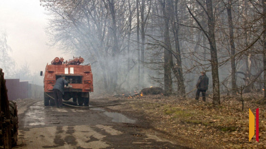 Число районов Воронежской области с максимальной пожароопасностью выросло до 30
