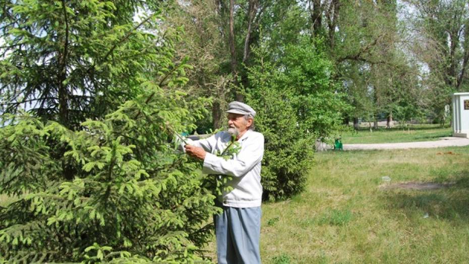 Россошанский пенсионер за свой счет озеленяет село