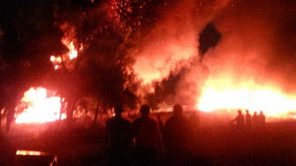 Полиция устанавливает обстоятельства ДТП с тремя пострадавшими в Павловском районе