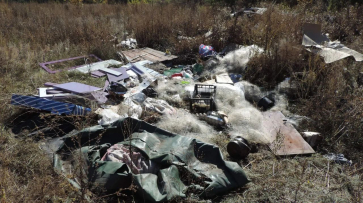 В Воронежской области Росприроднадзор требует возместить ущерб на 2,4 млн рублей от свалки