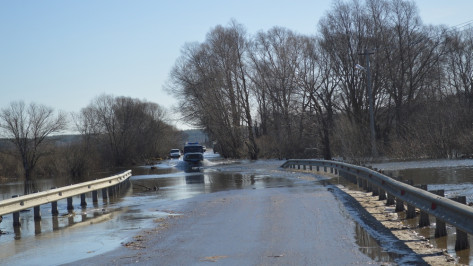 Под Воронежем частично затопило мост на автодороге Рамонь – Ступино