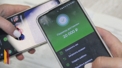 Юная жительница Подгоренского района стала посредником мошенников