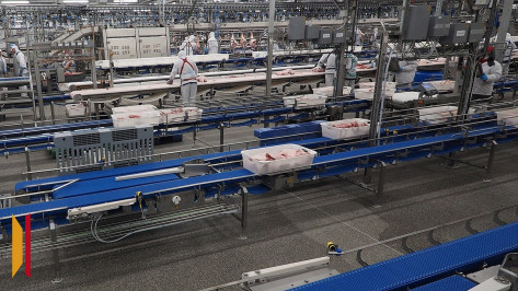 Стало известно, где в Воронежской области построят завод по переработке отходов животноводства