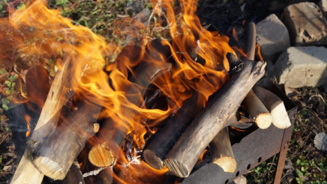 Со среды в Воронежской области запретят костры и въезд в леса