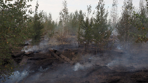 Высокий уровень пожарной опасности сохранился на юге Воронежской области