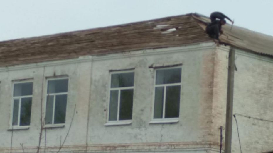 Школу в петропавловском селе Старая Криуша капитально отремонтируют за 35 млн рублей