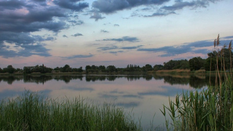 В Острогожском районе в озере нашли труп мужчины
