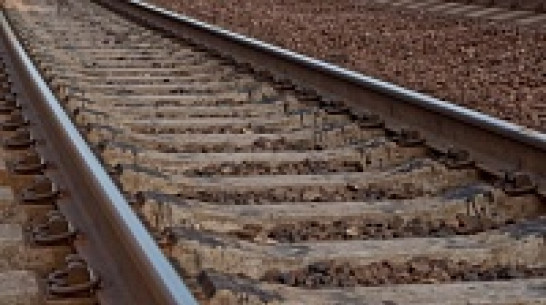 В Каменке под колесами поезда погиб 39-летний мужчина