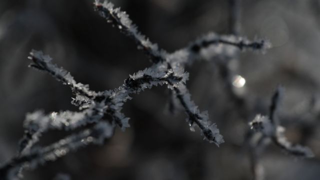 Холодные ночи ожидаются в Воронеже в выходные